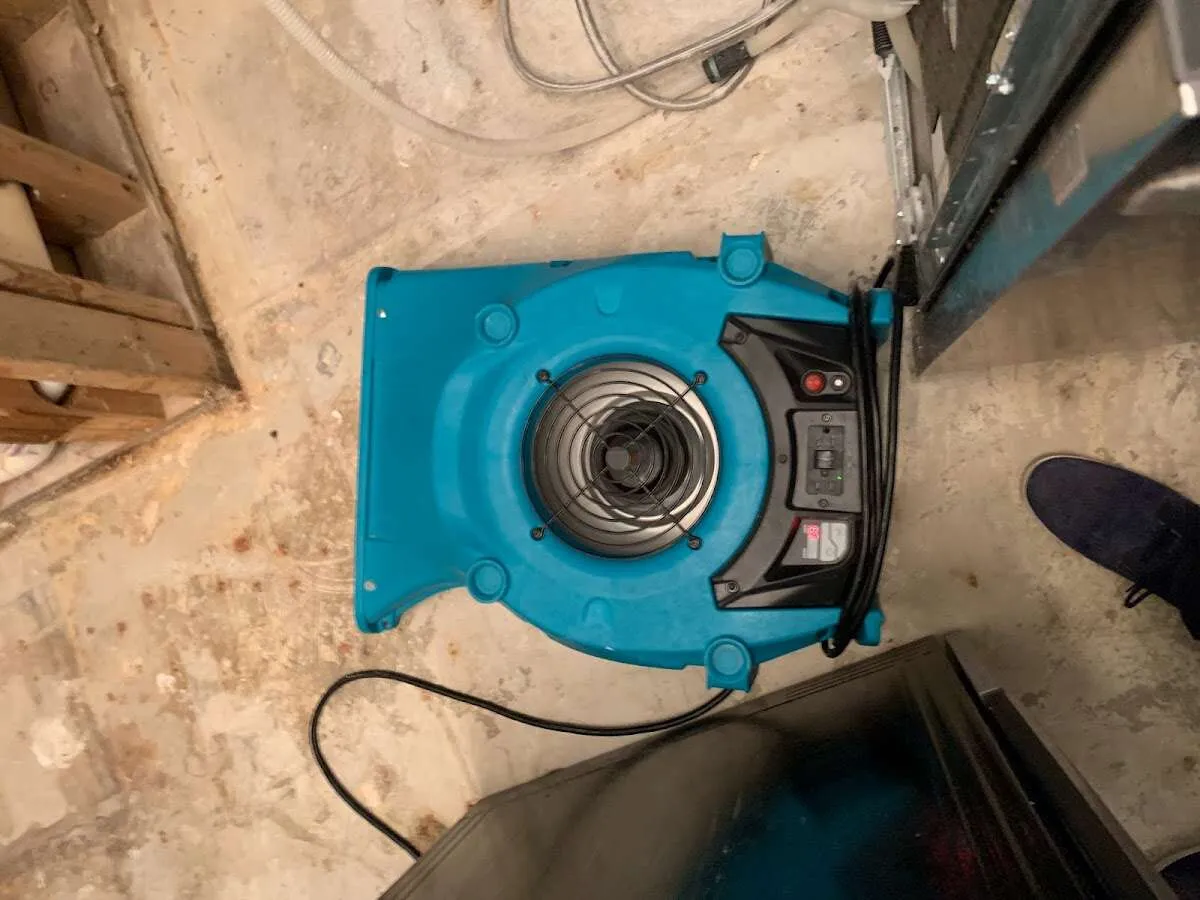 Air mover drying equipment for Mold Remediation & Removal in Stow